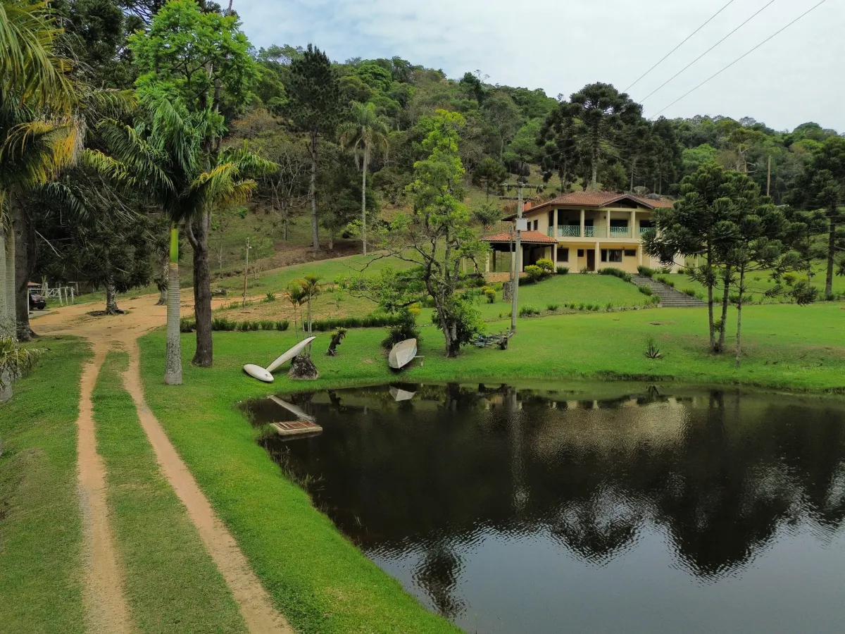 Destaque